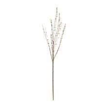 Pussy Willow Stem by Ashland® | Michaels Stores
