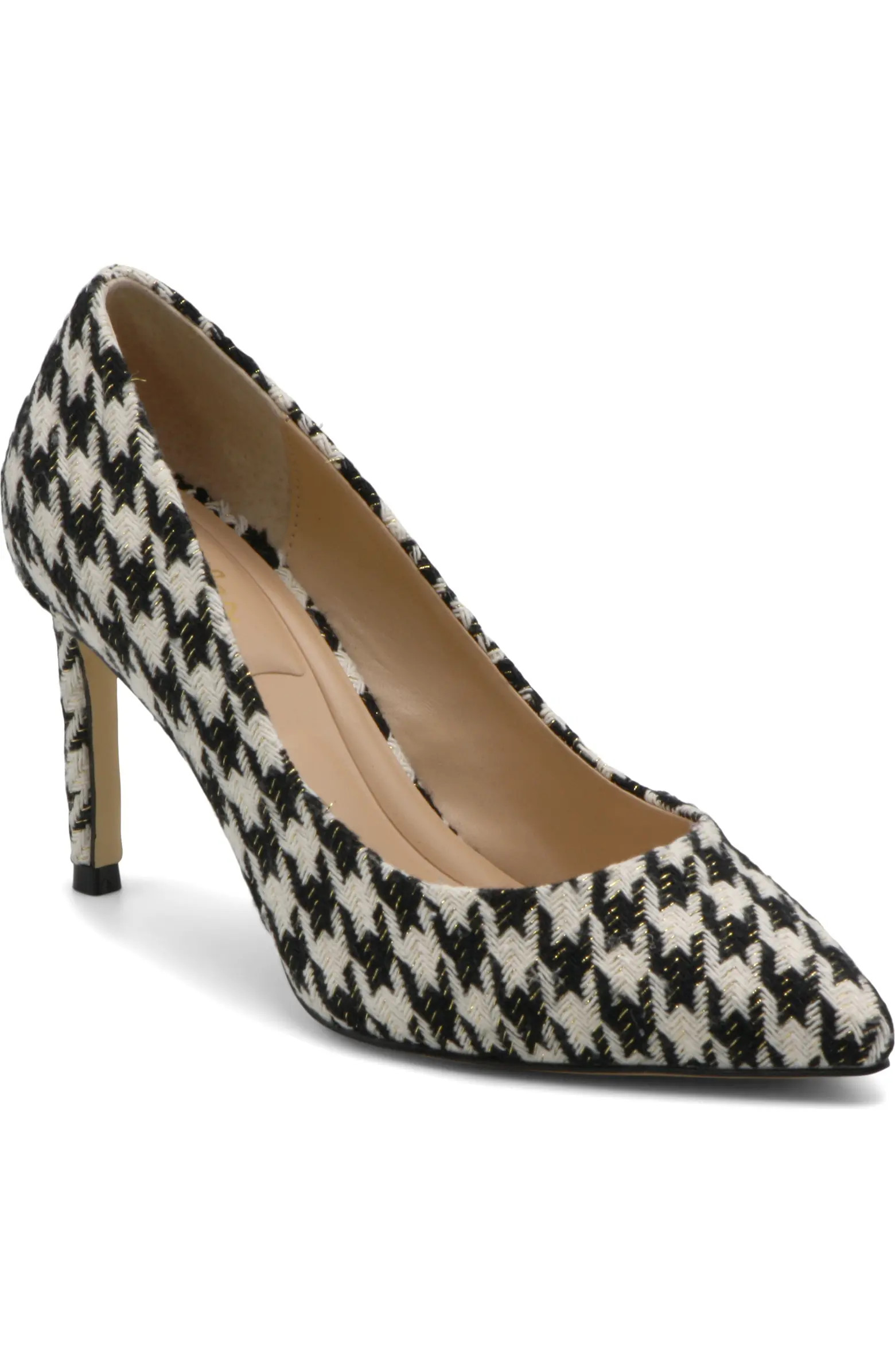 Charles by Charles David Sublime Pointed Toe Pump (Women) | Nordstrom | Nordstrom