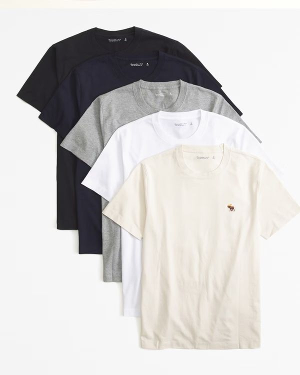 5-Pack Polished Signature Icon Tees | Abercrombie & Fitch (US)