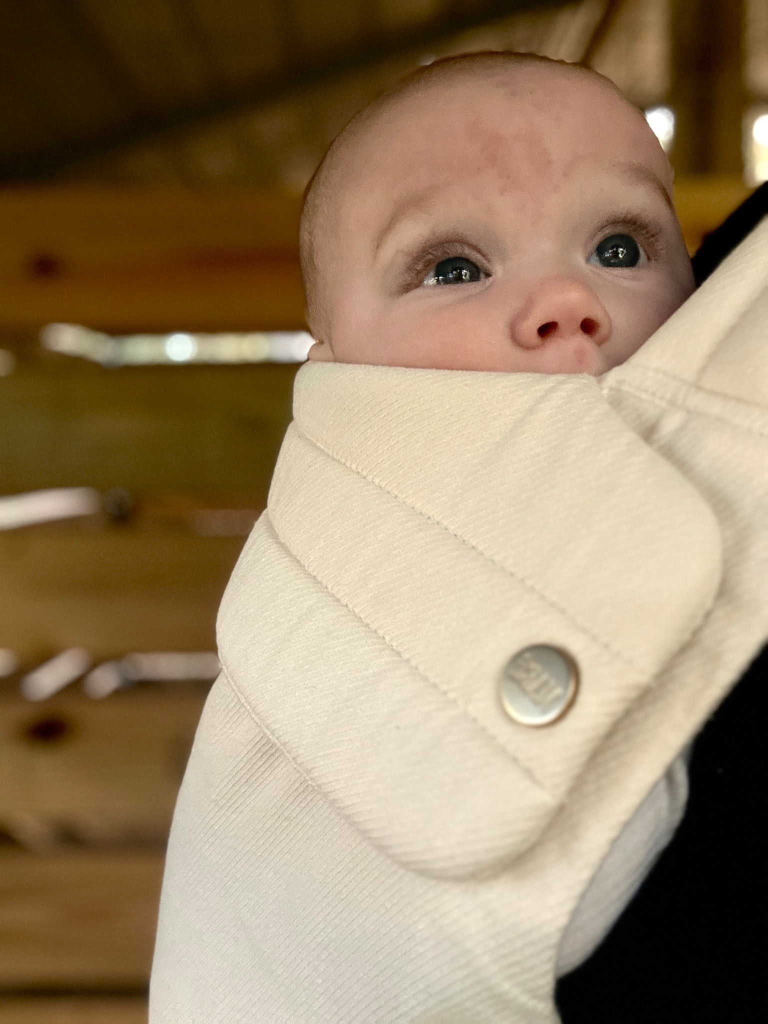 Favorite baby carrier 

#LTKOver40 #LTKFamily #LTKBaby