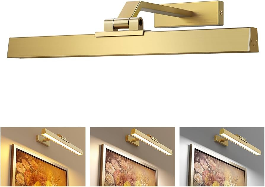 Afyuol Picture Lights for Wall, Brushed Gold Battery Operated Picture Light 16in Art Light CCT Di... | Amazon (US)