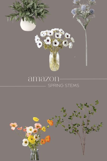 Amazon spring stems

#LTKSeasonal #LTKhome #LTKfindsunder50