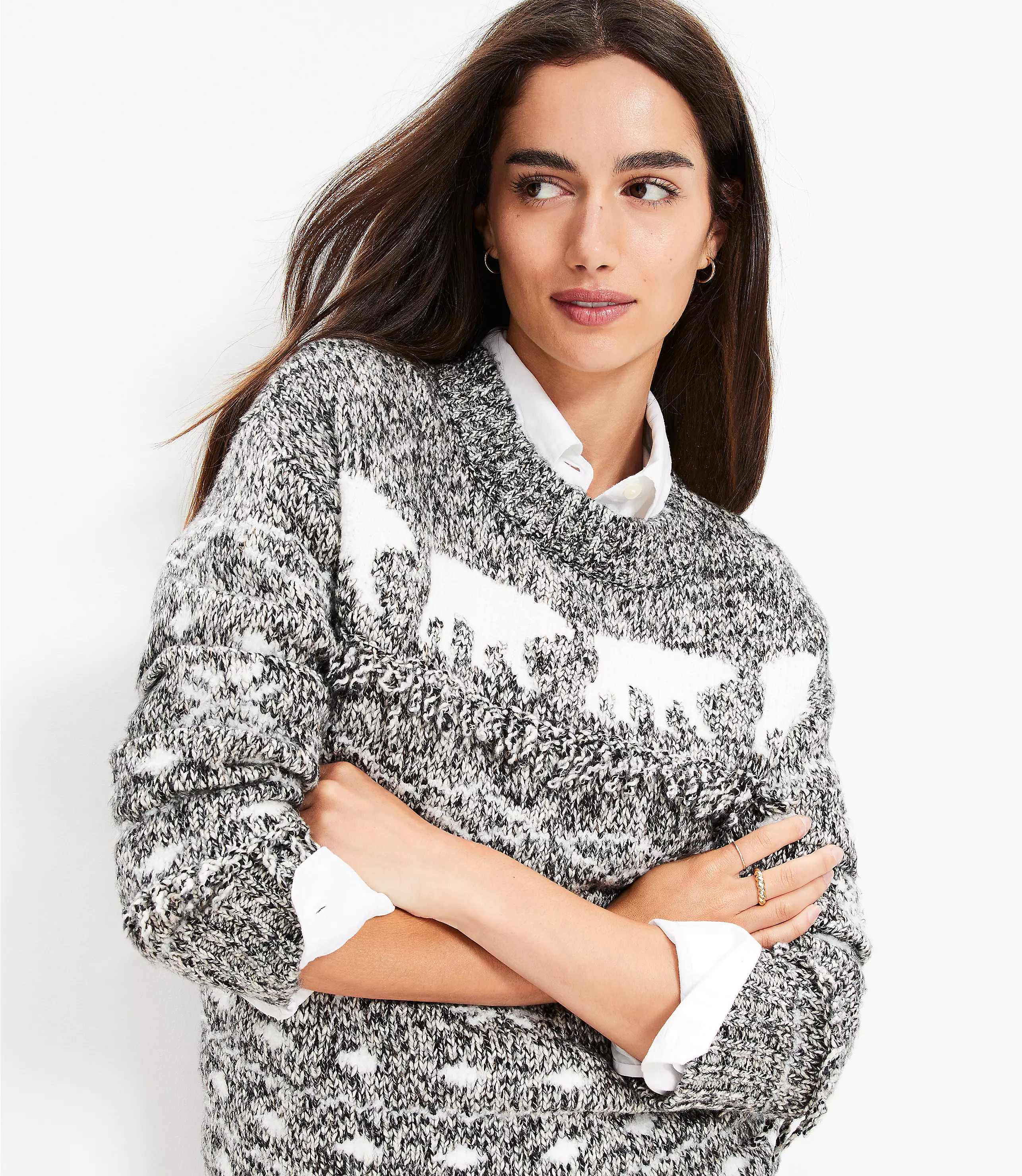 Polar Bear Fringe Sweater | LOFT