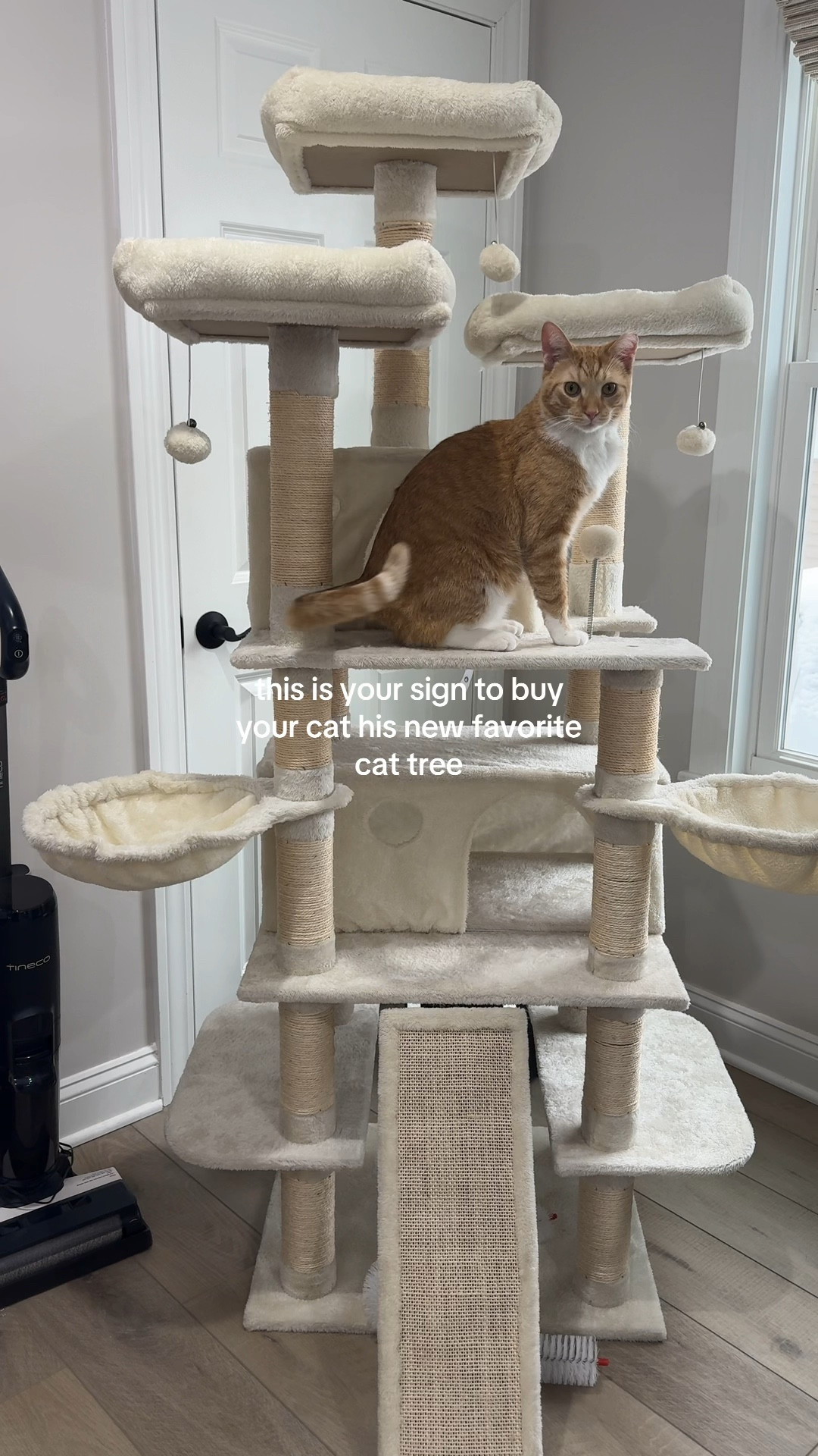 My cat loves this cat tower and uses it all day long! 

Cat tree, cat lover, animal lover, cat toy, cat tower, kitten tree, orange cat, neutral cat toys

#LTKHome #LTKFamily