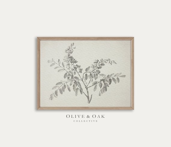 Vintage Botanical Sketch / Antique Branch Drawing PRINTABLE / | Etsy | Etsy (US)