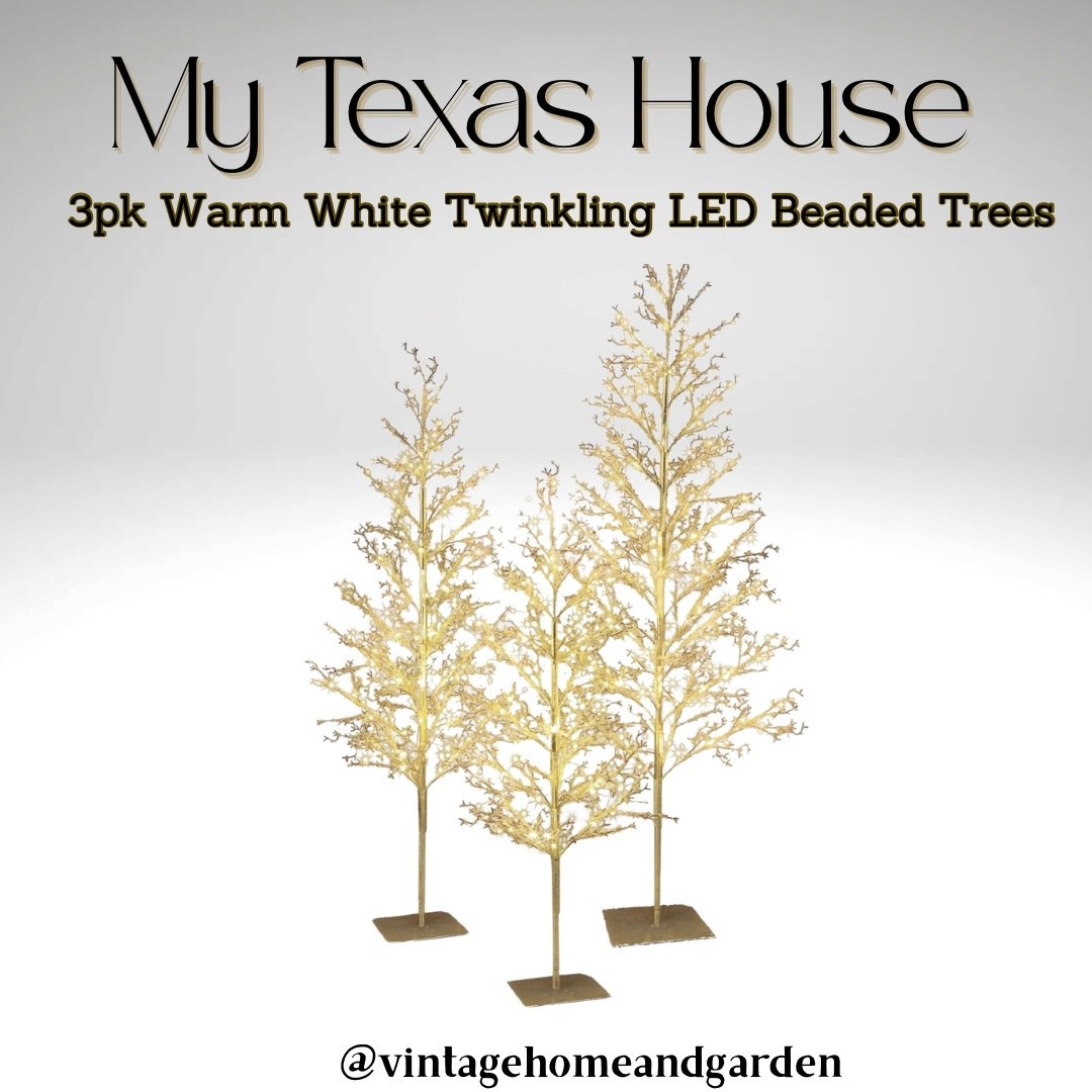 3 pack of Lighted LED trees for the Holidays!
#lightedtrees
#holidaydecor
#walmartfind
#Mytexashouse

#LTKHoliday #LTKHome #LTKSeasonal