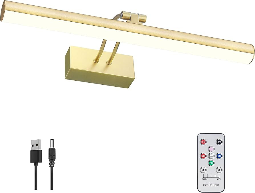 Picture Light, Rechargeable Picture Lights for Paintings,Remote Control Display Art Light with Ti... | Amazon (US)
