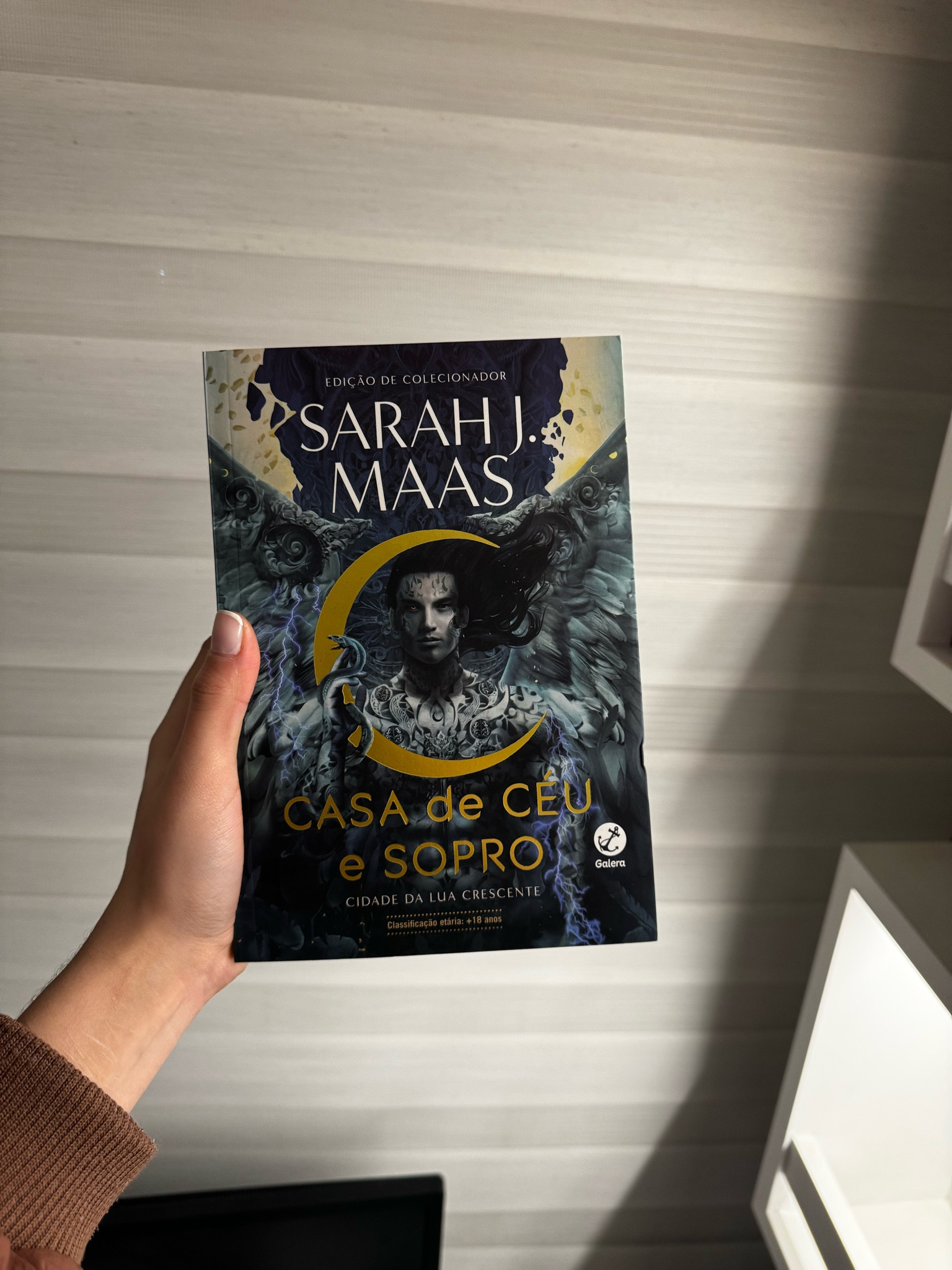 Bryce Quinlan e Hunt Athalar fizeram um pacto. Enquanto processam os eventos da última primavera, eles irão manter as coisas... platônicas... até o solstício. Eles salvaram a Cidade da Lua Crescente, mas com tanto frenesi acontecendo ultimamente, eles desejam, mais do que qualquer coisa, uma oportunidade de relaxar. Desacelerar. E descobrir o que o futuro lhes reserva. Mas quando a tensão suspensa entre os dois alcançar um nível insustentável, prestes a incendiar a Cidade da Lua Crescente, eles serão capazes de resistir?

Enquanto isso, para os dois, a iminência do perigo não está ainda fora de questão. Arrastados para um movimento rebelde do qual não querem tomar partido, Bryce, Hunt e seus amigos veem a si mesmos contra os sinistros asteri – de quem, custe o que custar, precisam evitar ser percebidos.

No entanto, quanto mais conhecem as causas desse movimento revolucionário, mais se aproximam de uma inevitável escolha: permanecer quietos enquanto outros são oprimidos... ou lutar.

#LTKgiftguide #LTKstyletip #LTKover50style