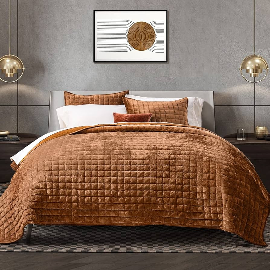 RECYCO Luxury Velvet Quilt Set Full Queen Size, Lightweight Velvet Comforter Set, Oversized Bedsp... | Amazon (US)
