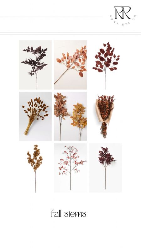 Favorite fall stems to get your house ready for cozy season! 

#LTKSeasonal #LTKhome #LTKunder50