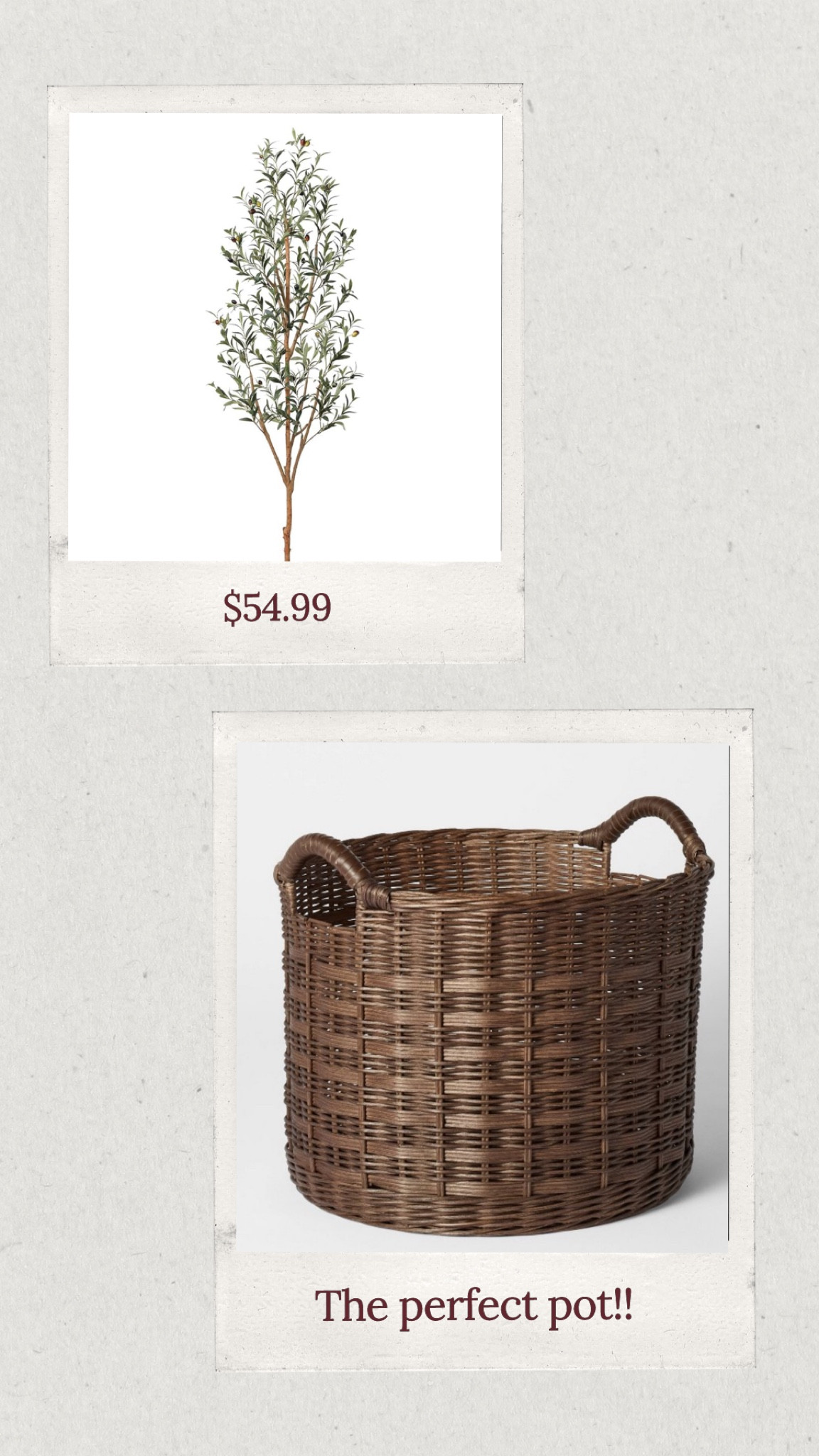 #LTKSeasonal #LTKStyleTip #LTKHome