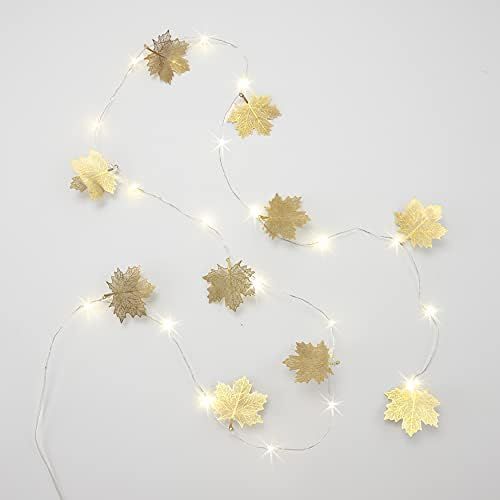The Lakeside Collection Harvest Lighted Décor Fall Leaves String Lights with Leaf Appliques | Amazon (US)