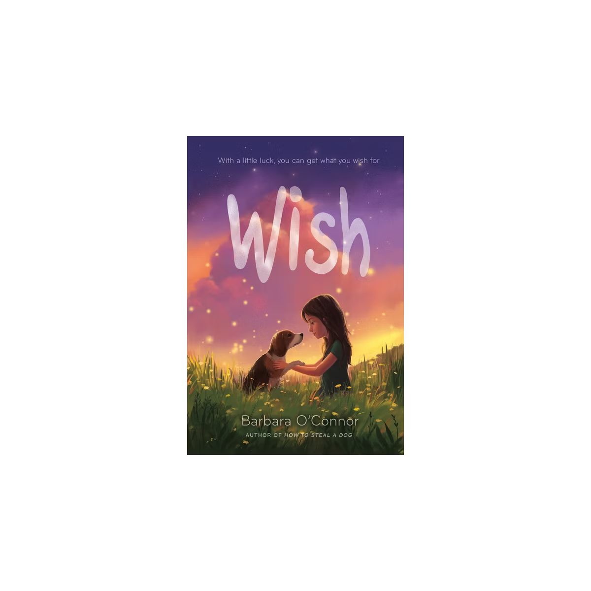 Wish - by Barbara O'Connor | Target