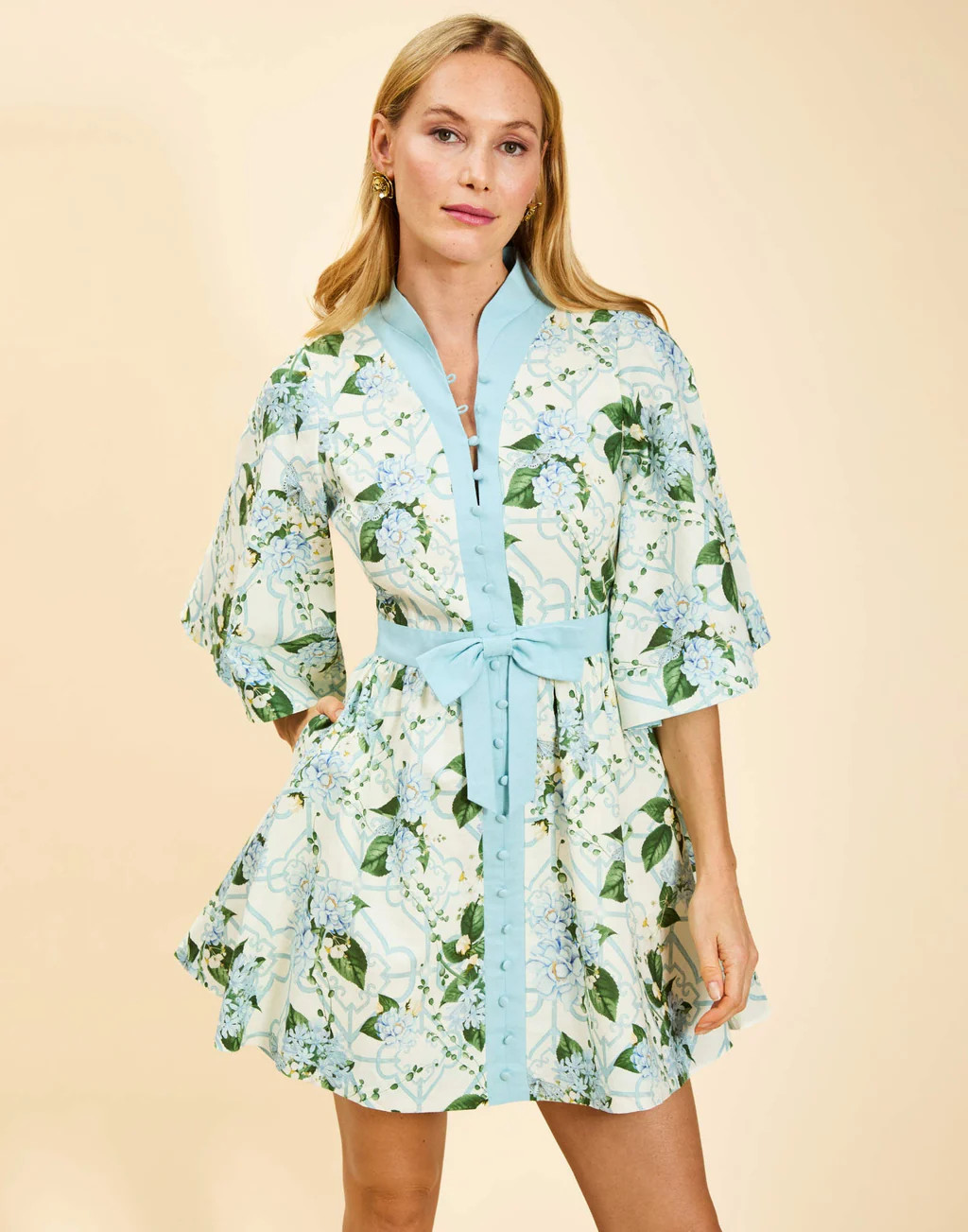 Carmen Mini Dress | Mestiza New York