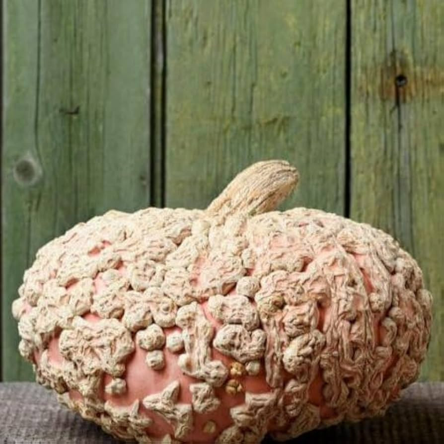 David's Garden Seeds Pumpkin Galeux D Eysines 25 Non-GMO, Heirloom Seeds v | Amazon (US)
