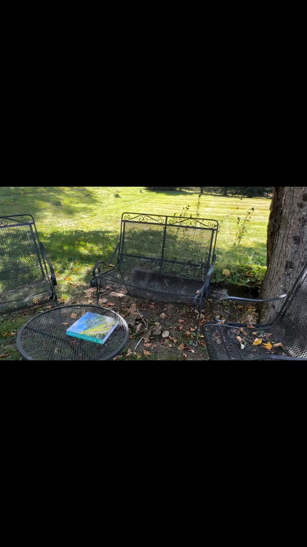 Nail taps on products is annoying.  ADD on showcase here. Who can relate? I did this take no less than eight times. I’m going with this one. It’s very real life :)

Book Your Stay: www.historicvalleyview.com

#themadrivervalley #shorttermrental #vermont #v #vermonttourism #skitheeast #vrbo #airbnb #mountains #historicvalleyview #travelmoments #vermontvacation #sugarbush #madriverglen #mountains #skitheeast #madmarathon #marathons #nationalgeographic #100runsofalifetime

#LTKTall #LTKWorkwear #LTKSeasonal