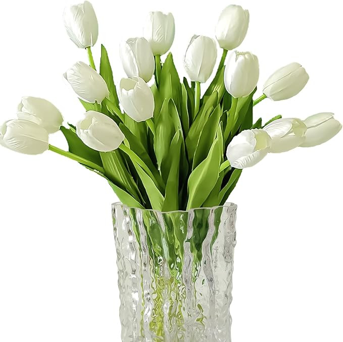 White | Amazon (US)
