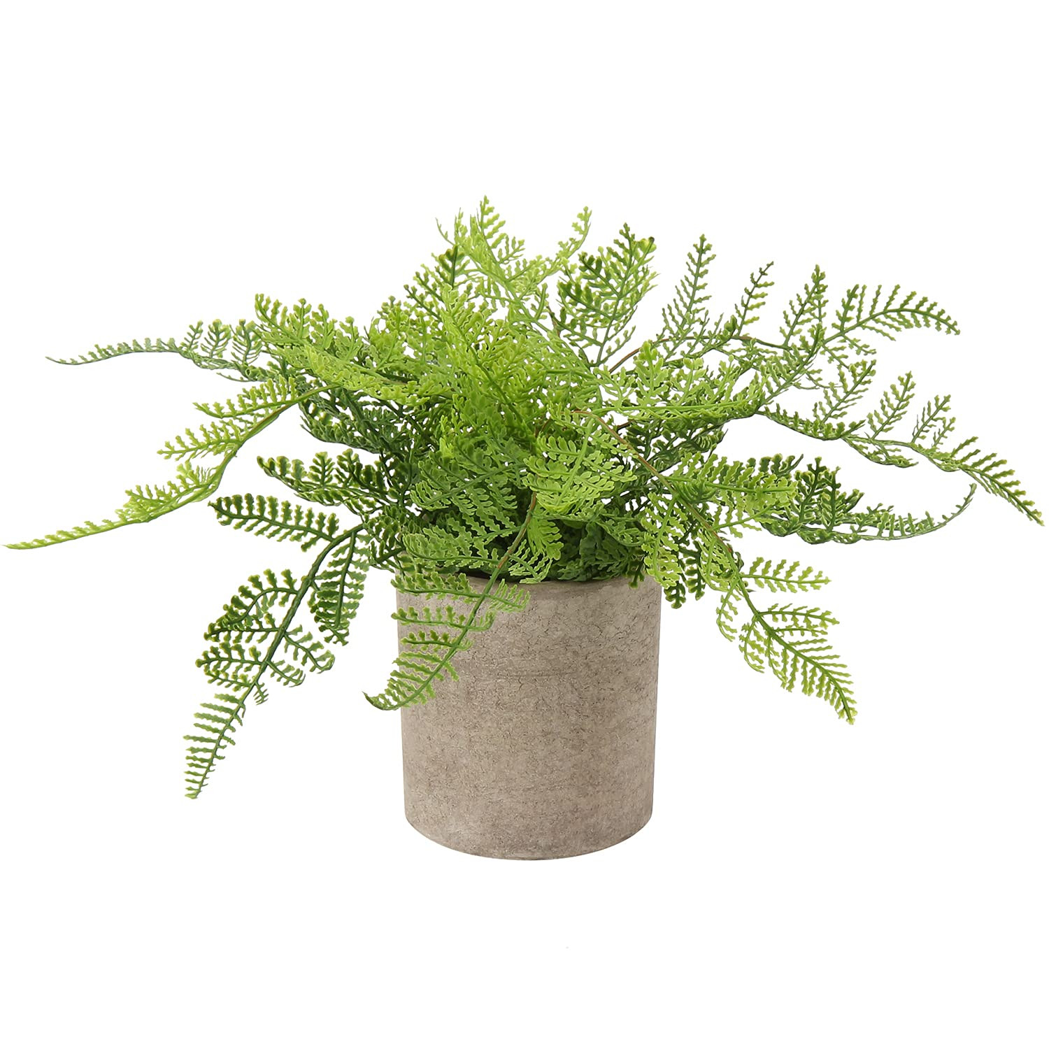 Small Fake Plant Potted Plants Artificial Decor Plastic Boston Ferns Plant Faux Plants in Pots fo... | Amazon (US)
