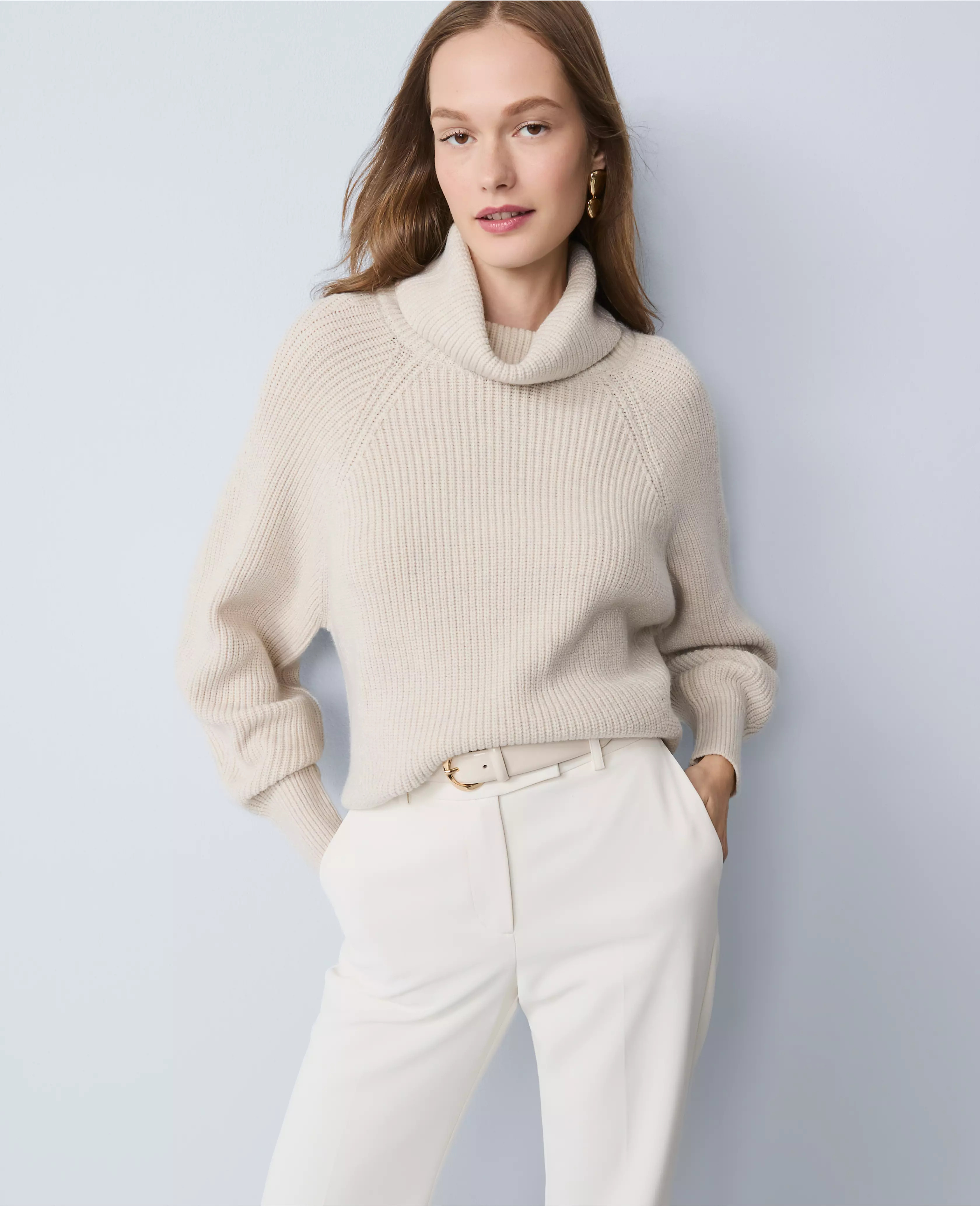 Ribbed Turtleneck Sweater | Ann Taylor