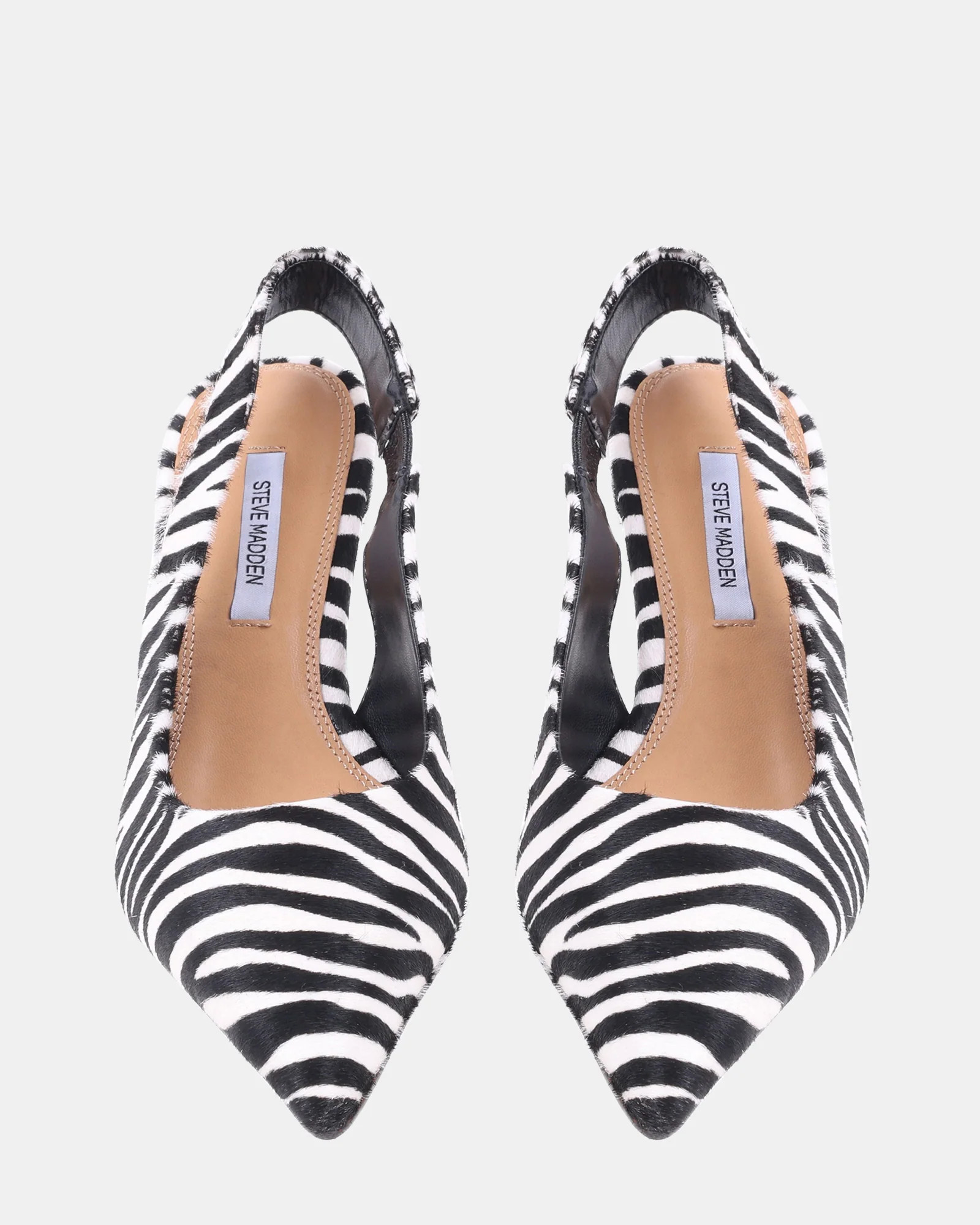 CARMEN ZEBRA | Steve Madden (Canada)