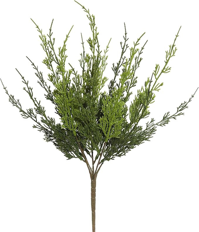 Vickerman Everyday 19" Artificial Green Monterey Cypress Bush 2 Pack - Faux Indoor Plant Bush - G... | Amazon (CA)