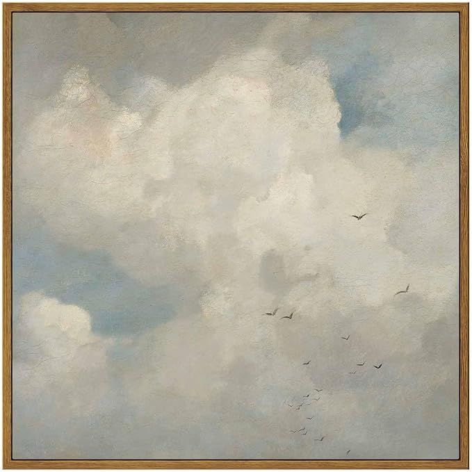 InSimSea Framed Canvas Wall Art Home Decor, 16x16in Classical Oil Paintings Sky Cloud Birds Print... | Amazon (US)