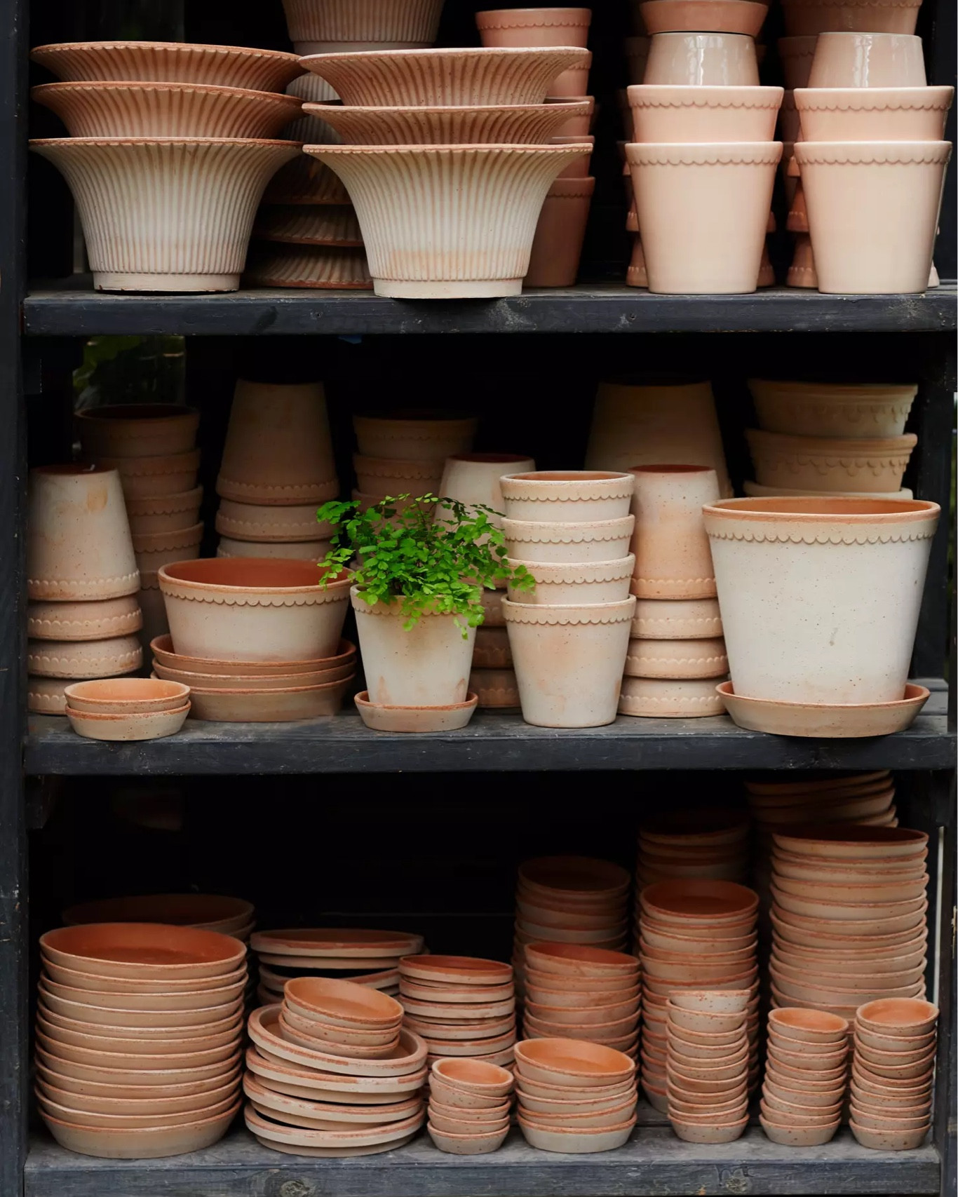 Want to spend all my money on terra cotta pots lately 💛 Slowly starting my Bergs collection #terracotta #pot #planter #bergs #outdoorrs

#LTKHome #LTKSeasonal