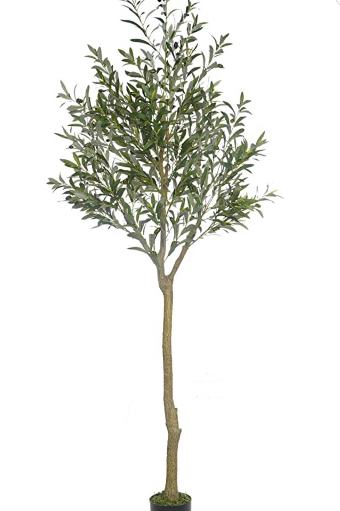 My favorite 90” faux olive tree!!!  It comes in a smaller size too!

#LTKhome