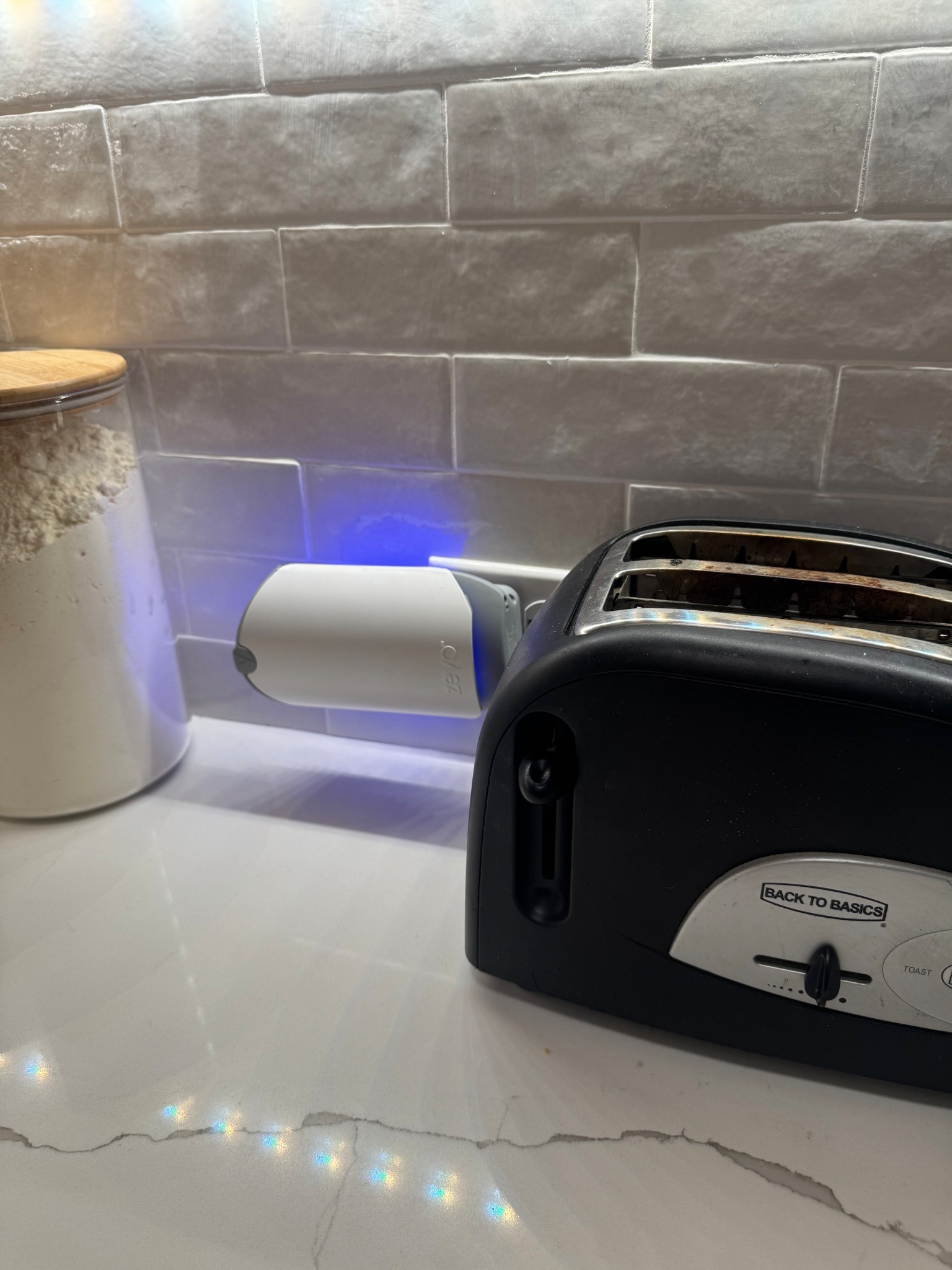 Zevo trap 

#LTKHome #LTKSeasonal