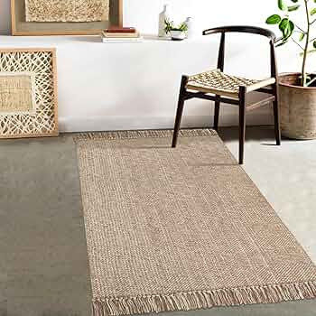 Collive Washable Area Rug 3' x 5', Modern Woven Kitchen Rugs, Tan/Cream Braided Cotton Rug Indoor... | Amazon (US)