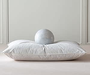 Luxury Goose Feathers Down Pillow King Size, Hotel Quality Fluffy Bed Pillow, Soft Pillow for Sle... | Amazon (US)