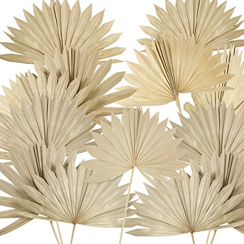 Chenkaiyang 20 Pieces Large Dried Palm Leaves Decor Sun Palm Natural Dried Palm Fans Dried Palm Spears Gold Palm Leaf Dried Plants for Boho Wedding Bouquets Home Leaf Party Decorations | Amazon (US)