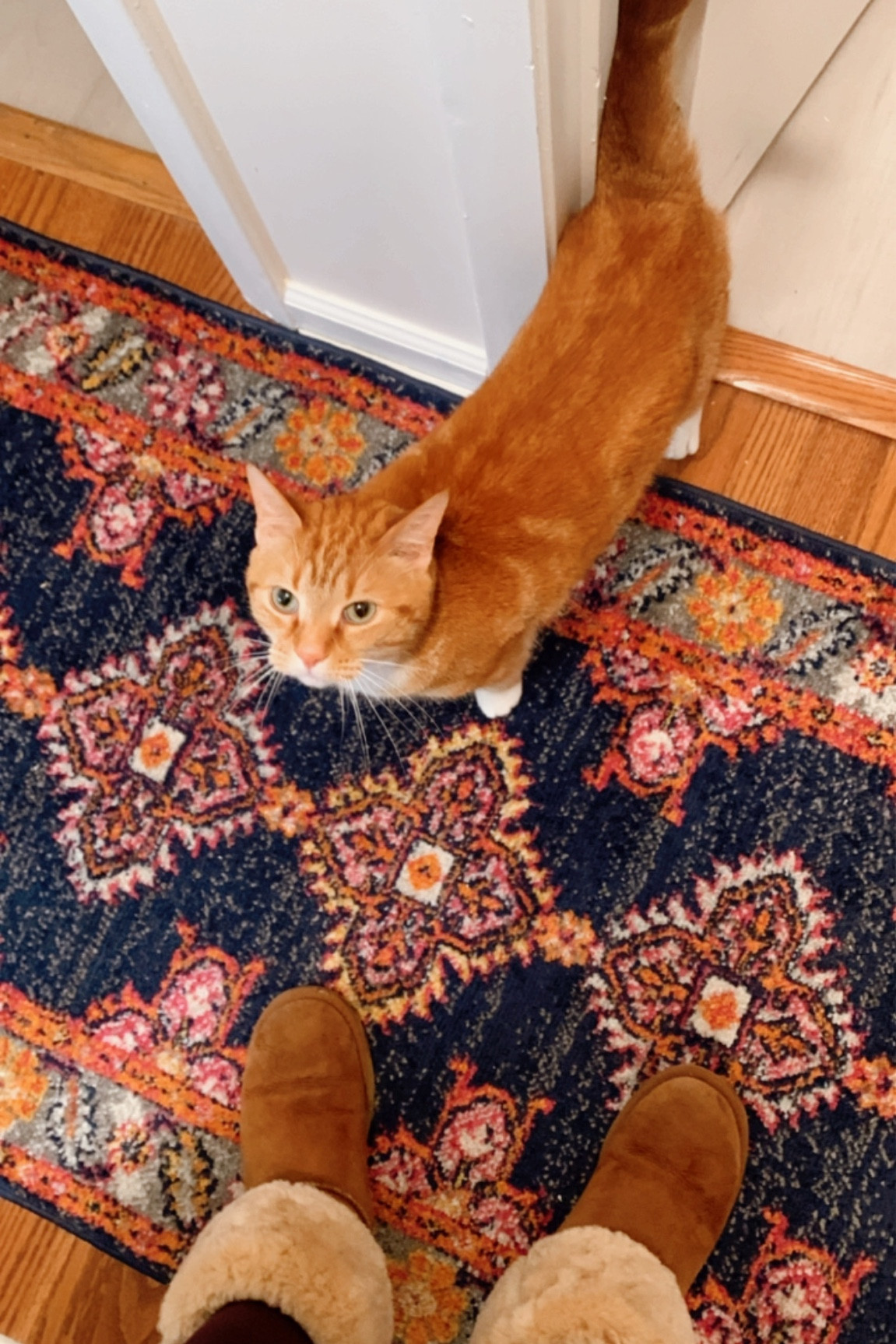 The runner is amazing in person!!

#LTKunder100 #LTKhome