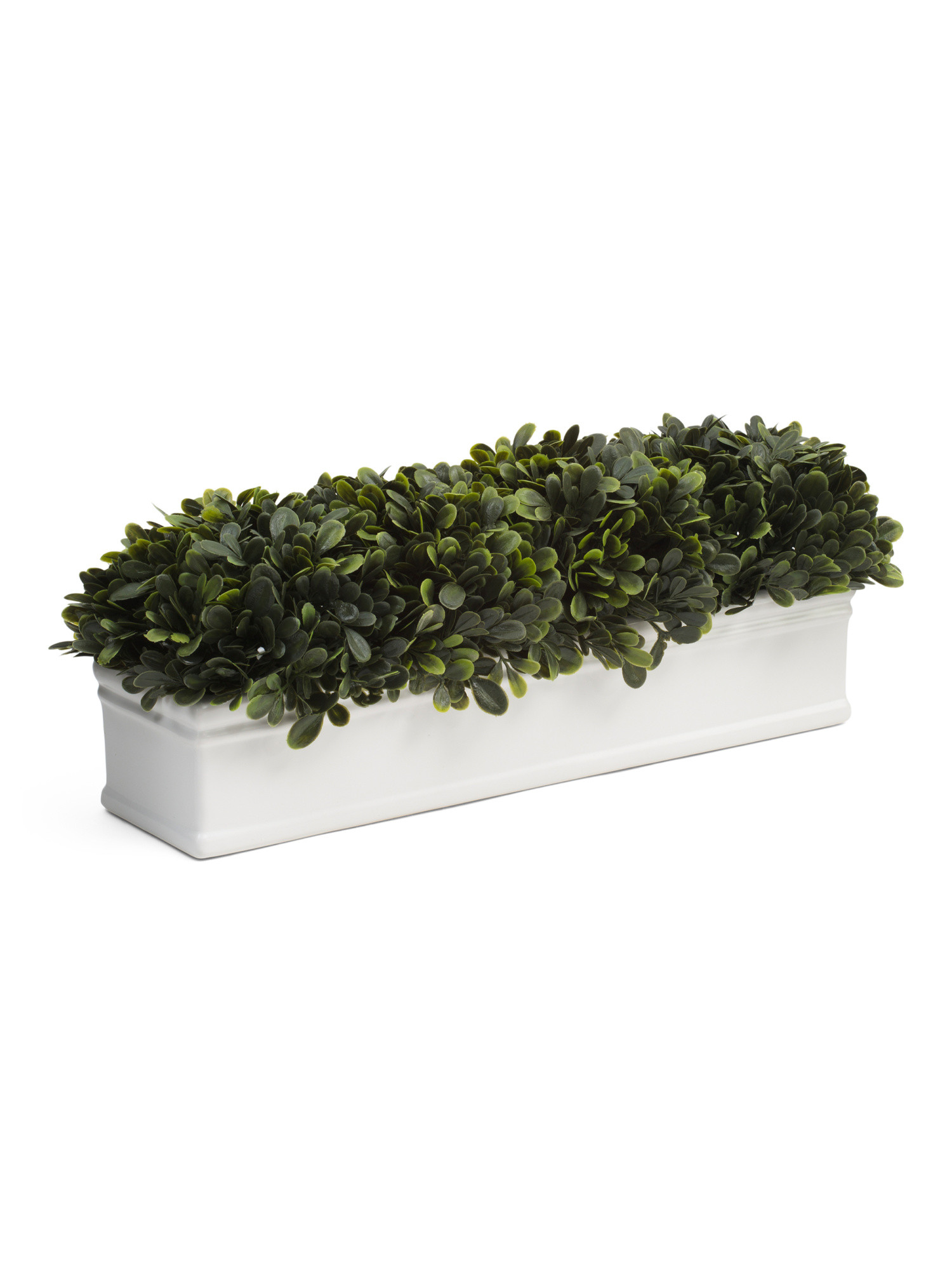 Topiary Ledge | Plants & Planters | Marshalls | Marshalls