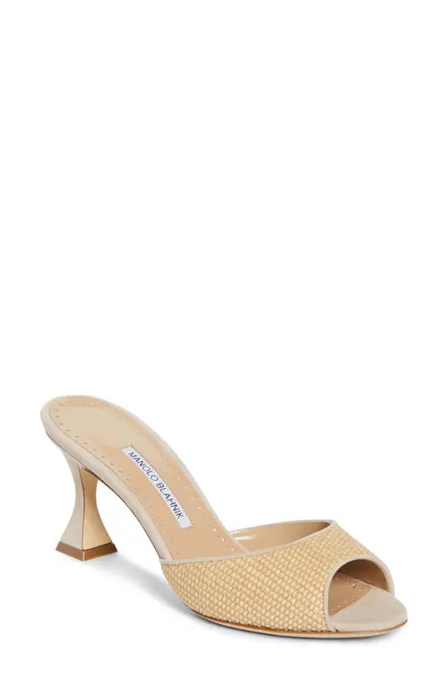 Manolo Blahnik Jadara Slide Sandal in Beige at Nordstrom, Size 7Us | Nordstrom