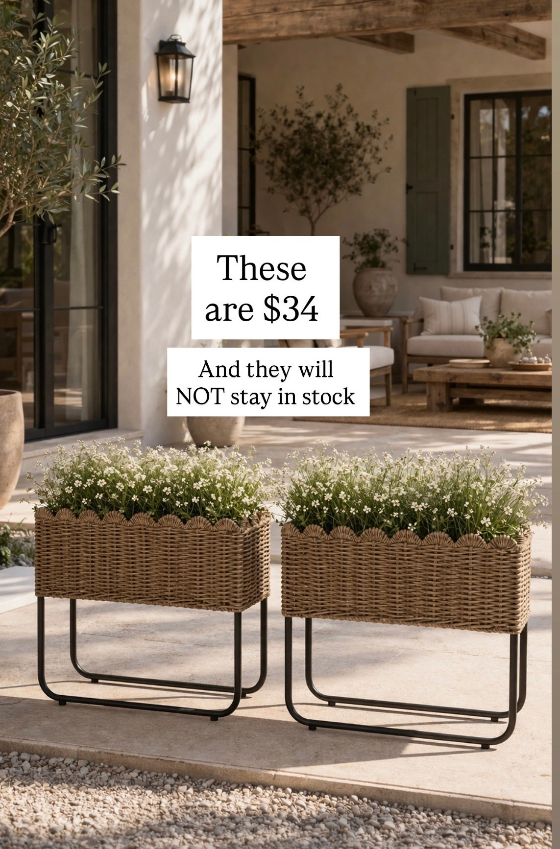 Love these scalloped planters New from TJ Maxx. These will sell out. I’ve never seen any like them perfect if you’re dividing a space or for privacy patio must have port

#LTKHome #LTKSaleAlert