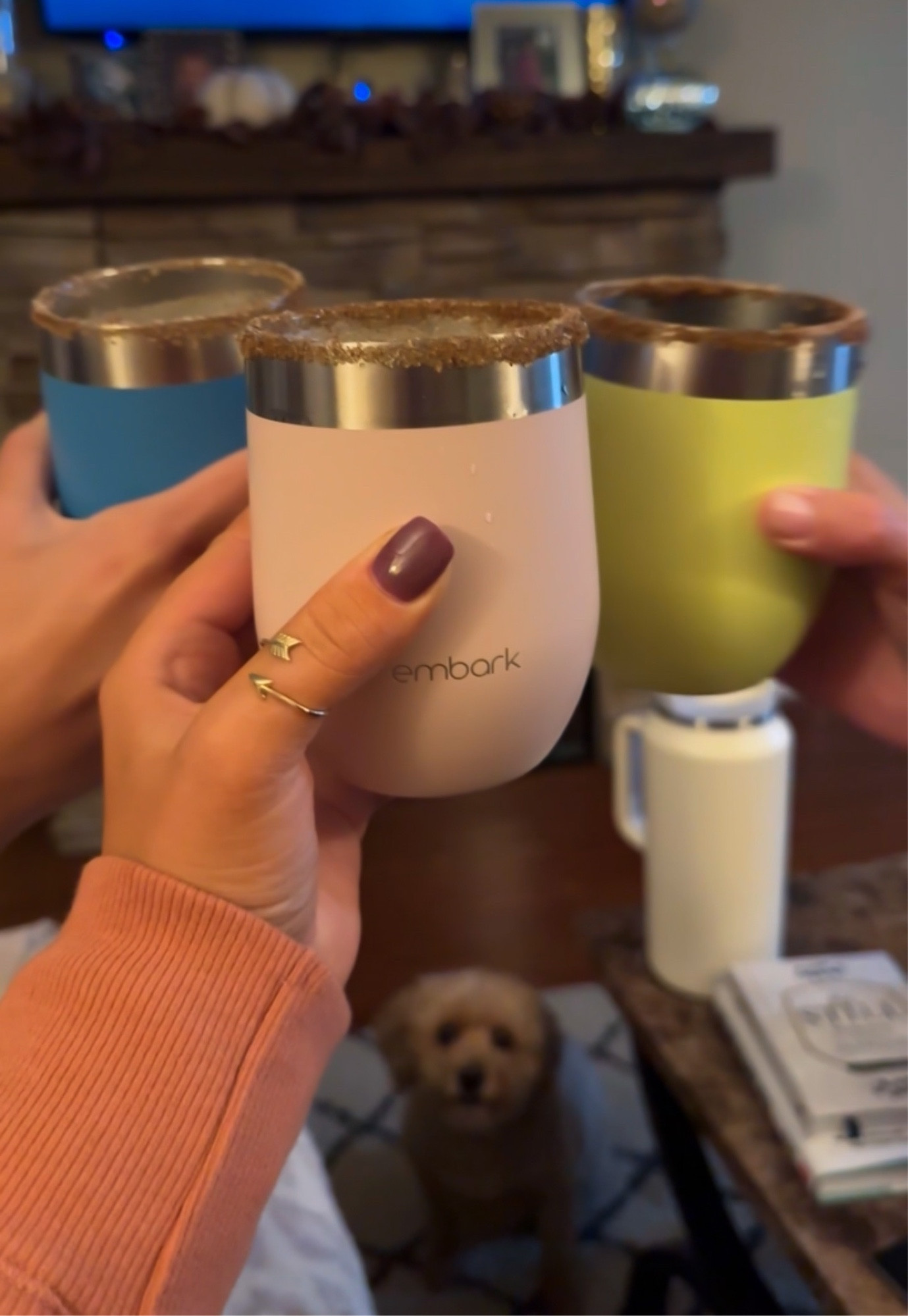 Cheers to these fancy insulated wine tumblers that are under $10!!🙌🏼

#LTKhome #LTKfindsunder50