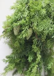 Lush Artificial Holiday Greens Cedar and Hemlock Bush - 36" Long | Afloral (US)