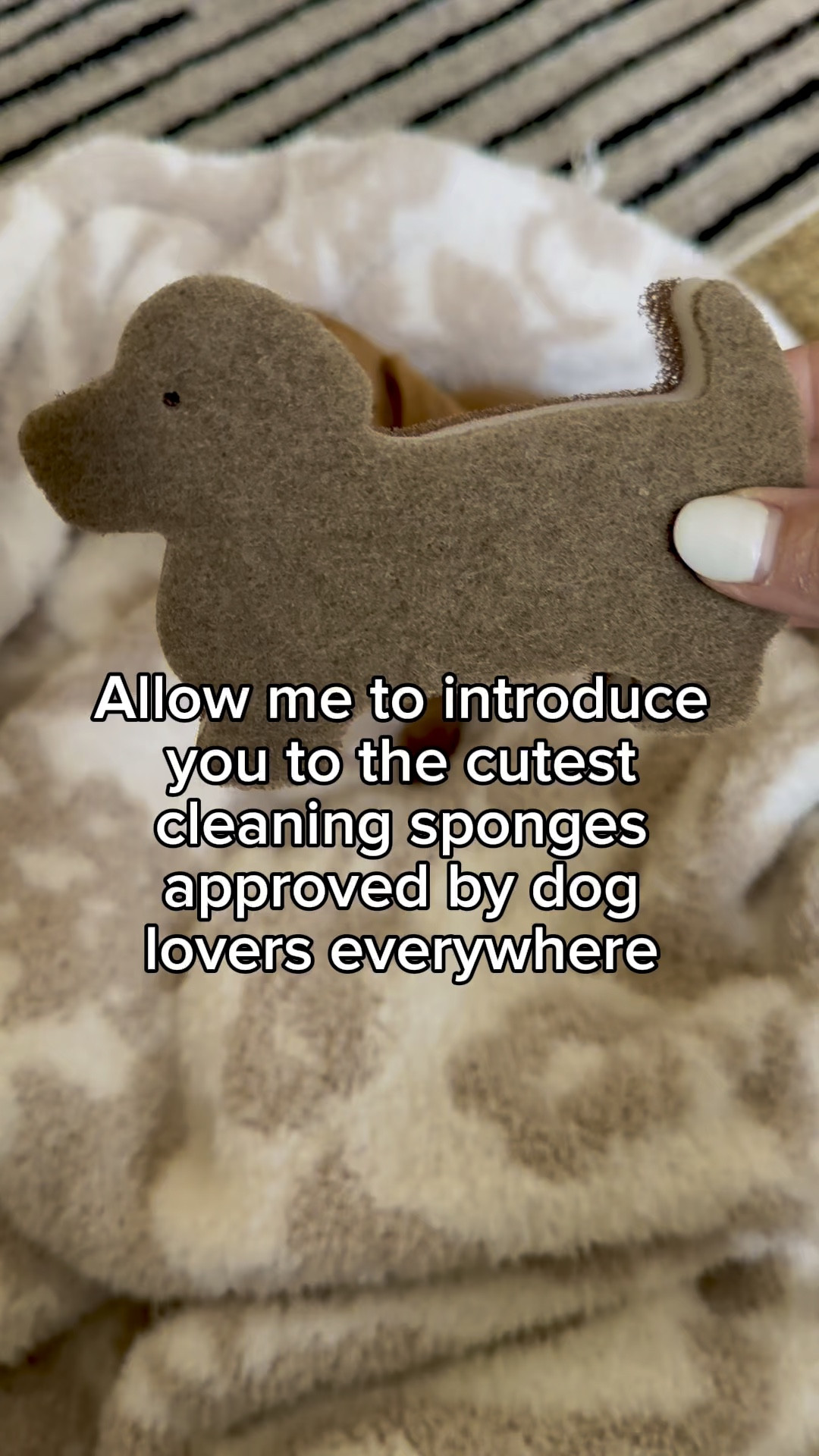 Cutest Amazon find for dog lovers! These dog kitchen sponges. We have a mini dachshund and love these. 

#LTKHome #LTKFamily #LTKWatchNow