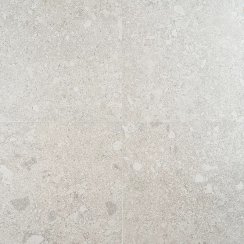 Rizzo 2.0 Matte Porcelain 24" x 24" Floor and Wall Tile (11.62 Sq. Ft. / Case) | Wayfair North America