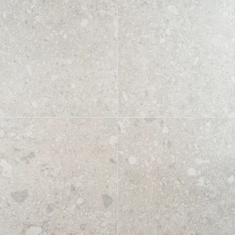 Rizzo 2.0 Matte Porcelain 24" x 24" Floor and Wall Tile (11.62 Sq. Ft. / Case) | Wayfair North America