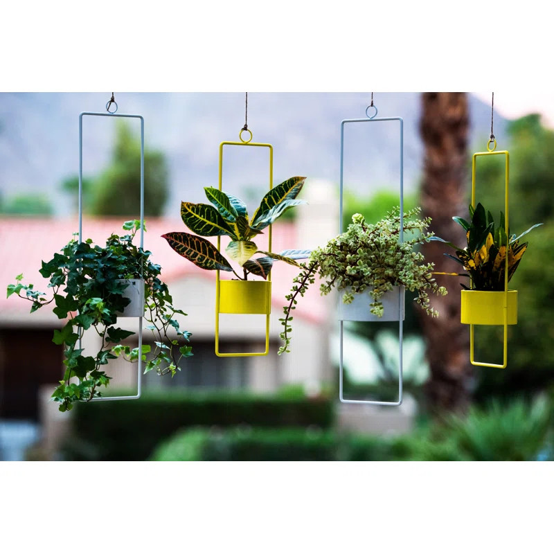 Davis Upright Hanging Planter | Wayfair North America