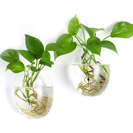 2 Pack Wall Hanging Planter Flower Vase Plant Propagation Station for Home Decor Egg Shape | Walmart (US)