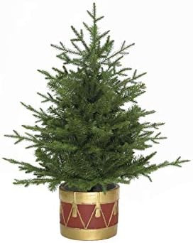 Fraser Hill Farm 3.0-Ft Andirondack Potted Christmas Tree Décor, 3, Green | Amazon (US)