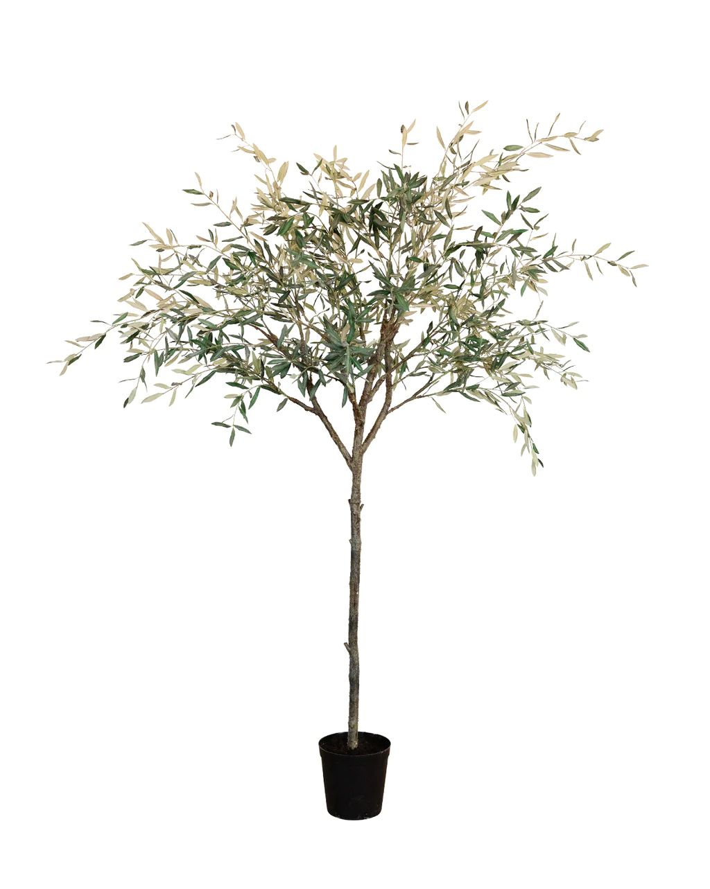 Mediterranean Faux Olive Tree | McGee & Co.