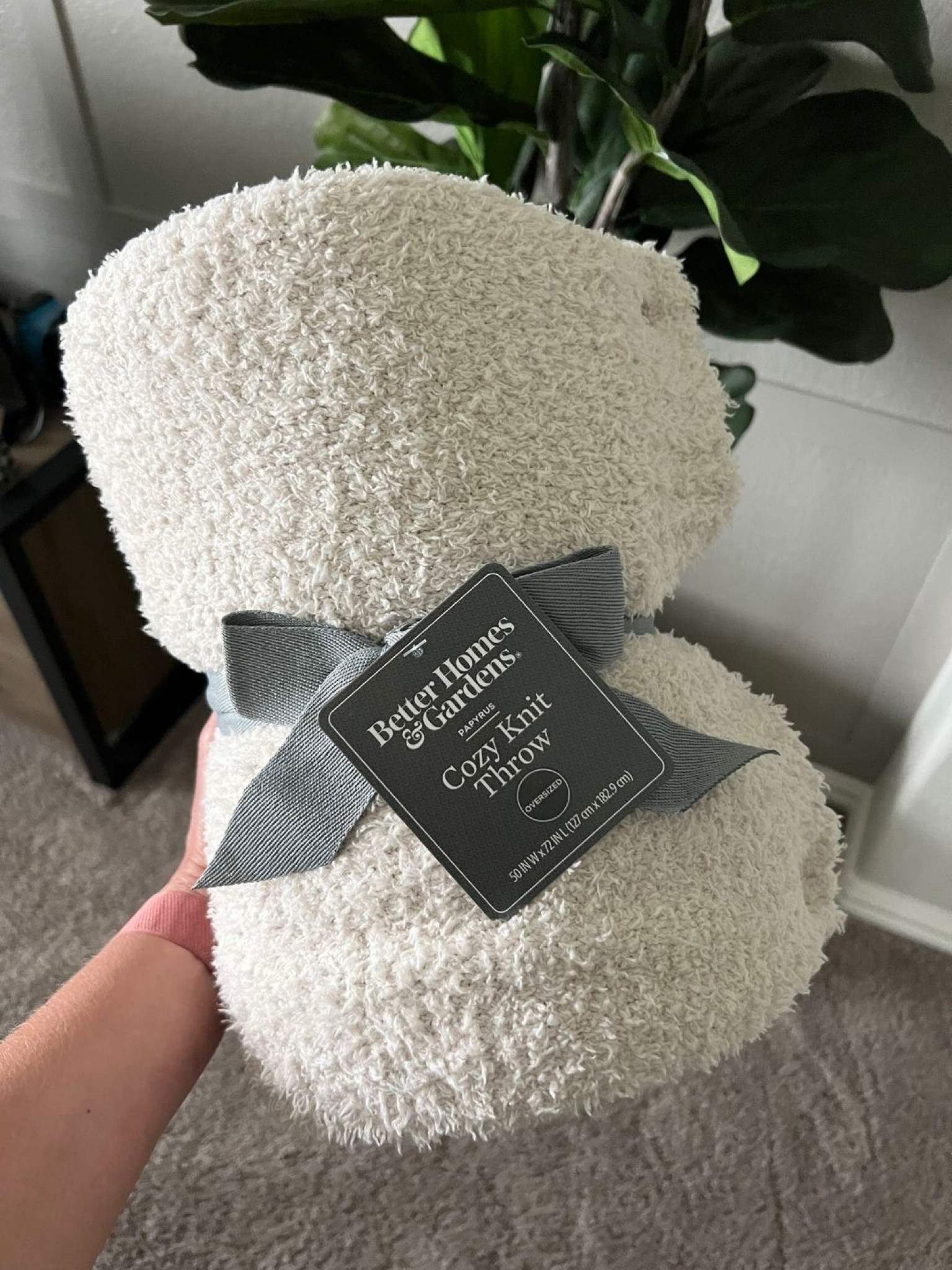 Throw Blanket 

Beige blanket  neutral  home  cozy knit blanket  airport blanket  Walmart finds  gift ideas  warm blanket  night in  FitMomming 

#LTKSeasonal #LTKHome #LTKFindsUnder50