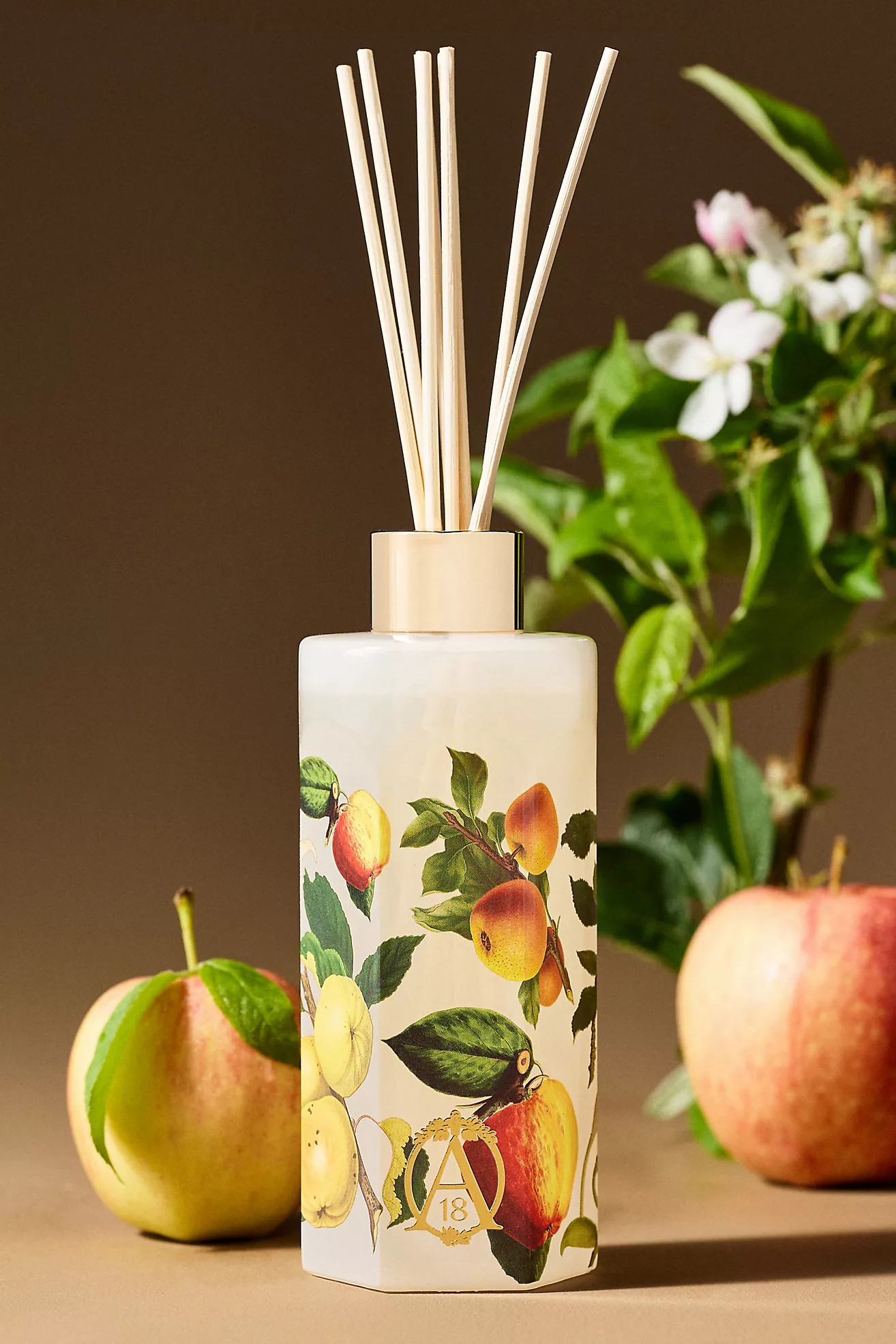 Apothecary 18 Fruity Harvest Apple & Vanilla Glass Diffuser | Anthropologie (US)