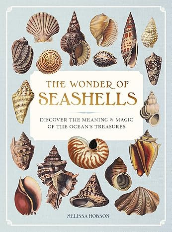 The Wonder of Seashells: Discover the Meaning & Magic of the Ocean’s Treasures      Hardcover ... | Amazon (US)