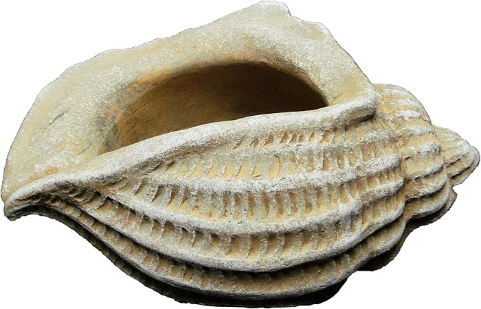 Classic Home and Garden Cement Seashell Planter, Cute Desk Decoration or Gift – Jagger Shell Pl... | Amazon (US)