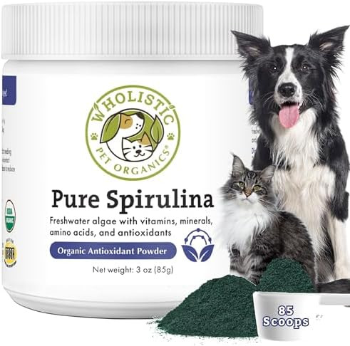 Wholistic Pet Organics Spirulina Powder for Dogs and Cats - Antioxidant Support for Dogs and Cats... | Amazon (US)